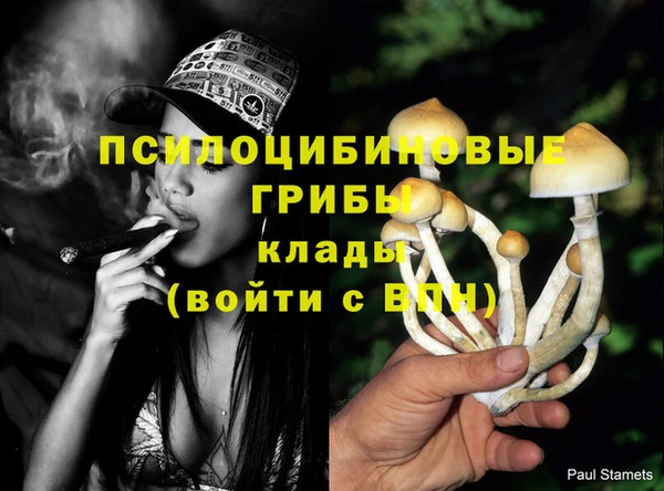 стаф Заволжье