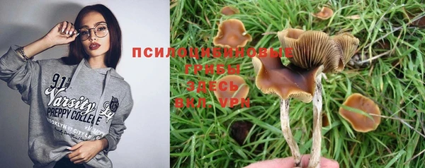 экстази Зеленокумск