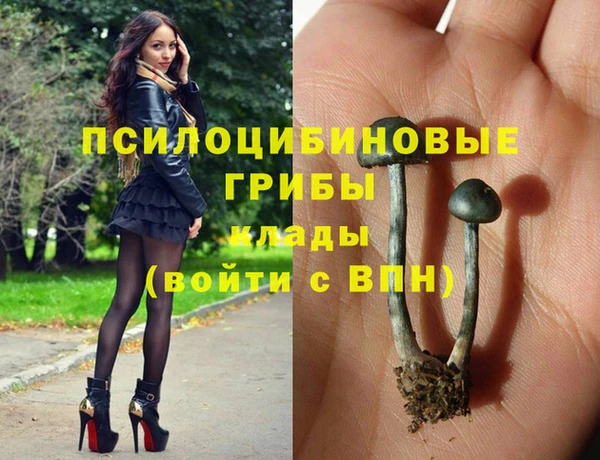 mdpv Заводоуковск