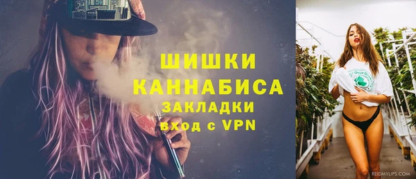 mdpv Заводоуковск