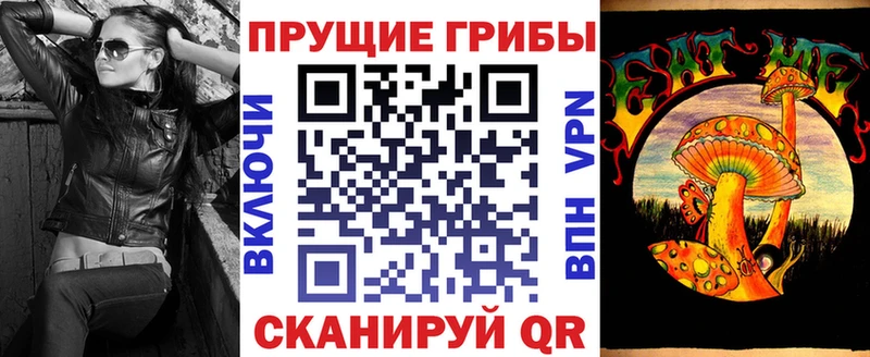 Галлюциногенные грибы Psilocybine cubensis  Купить где  Кодинск 